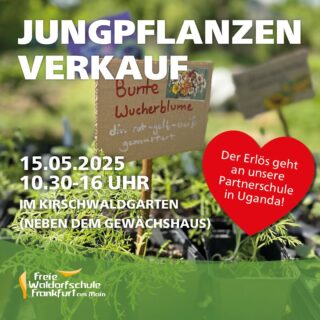 🌱 Jungpflanzenverkauf im Schulgarten 🌱
Am Mittwoch, den 13.05.2026, findet von 10:30 bis 16:00 Uhr wieder unser jährlicher Jungpflanzenverkauf im Kirschwaldgarten statt.
Unsere Schüler:innen ziehen aktuell mit viel Einsatz Sommerblumen sowie Kräuter- und Gemüsejungpflanzen groß – natürlich mit torffreier Pflanzerde und Bio-Saatgut. 🌿
Der gesamte Erlös geht auch in diesem Jahr an unsere Partnerschule in Uganda: @kaggwa_uganda ❤️
Wir freuen uns auf viele Besucher:innen, gute Gespräche und hoffentlich sonniges Frühlingswetter ☀️
#Schulgarten #Waldorfschule #jungpflanzenverkauf