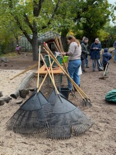 Gartentag im Herbst 🍂🌳
Auch der Sturm in der vorangegangenen Nacht konnte unsere vielen Helferinnen und Helfer nicht abhalten. Gemeinsam wurde geharkt, gegraben, gepflanzt und unser Schulgelände winterfest gemacht.
Ein besonderer Moment war die schon lange geplante Pflanzung eines Baumes zum Gedenken an Ruth Schmitz, unsere geschätzte Gartenbaulehrerin, die vor drei Jahren nach schwerer Krankheit verstorben ist.
Ein Baum, der wächst und die Erinnerung an sie lebendig hält.
Ein herzliches Dankeschön an alle großen und kleinen Helferinnen und Helfer! 💚
#WaldorfschuleFrankfurt #Gartentag #Schulgemeinschaft