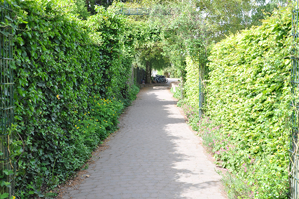 Schulführung