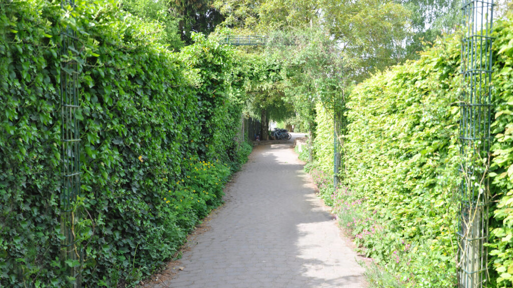 Schulführung